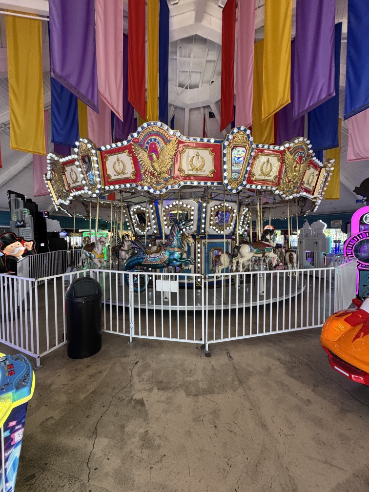Used Chance Carousel for Sale | Very Good Condition